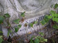 Zágoni Sidó Zoltán